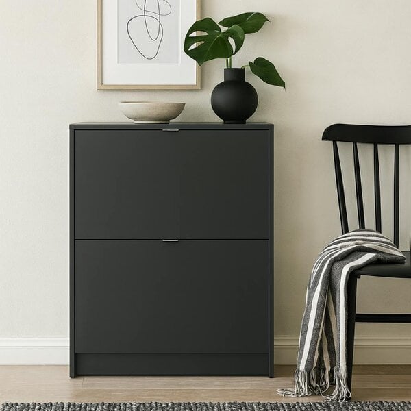 Wyld Haus Prague Black Shoe Cabinet 2 Flip Down Doors