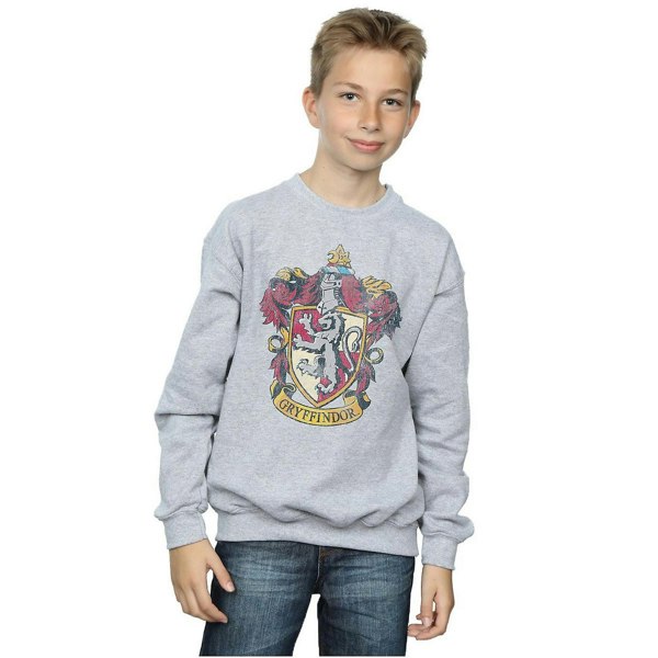 Harry Potter Boys Gryffindor Sweatshirt - Sports Grey