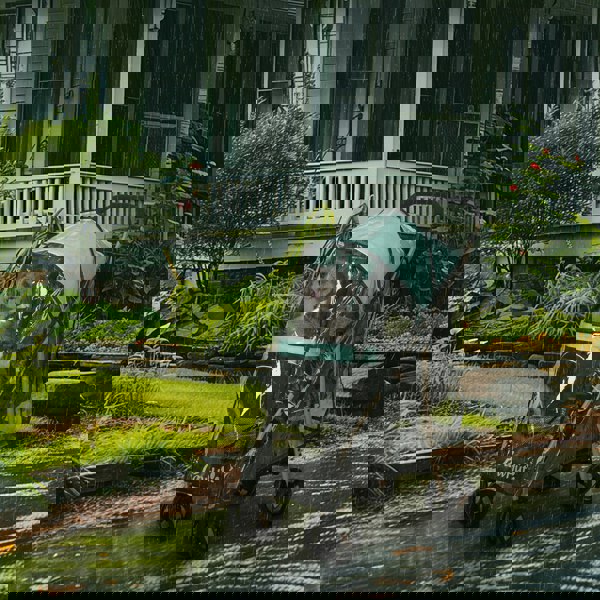 D00-188V01GN