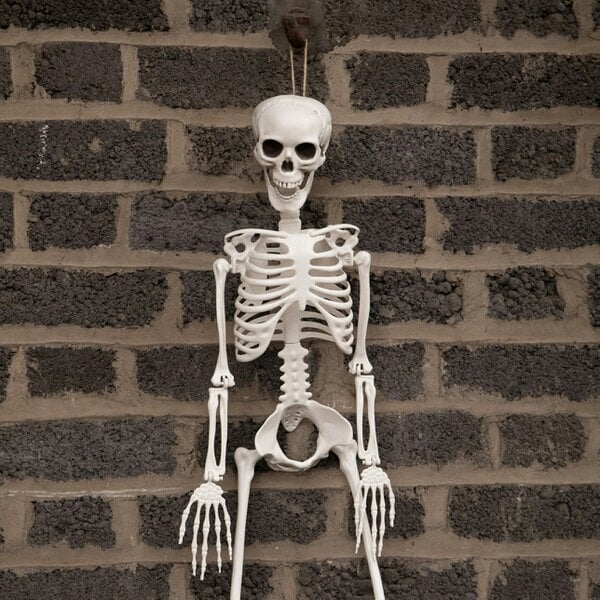 Samuel Alexander 10 Pack: 3ft (90cm) Posable Full Body Halloween Skeleton Decoration with Movable Joints