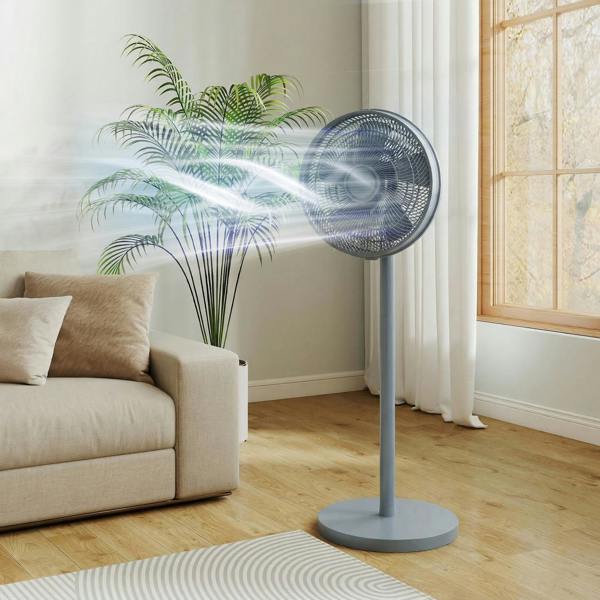 Floor Fan