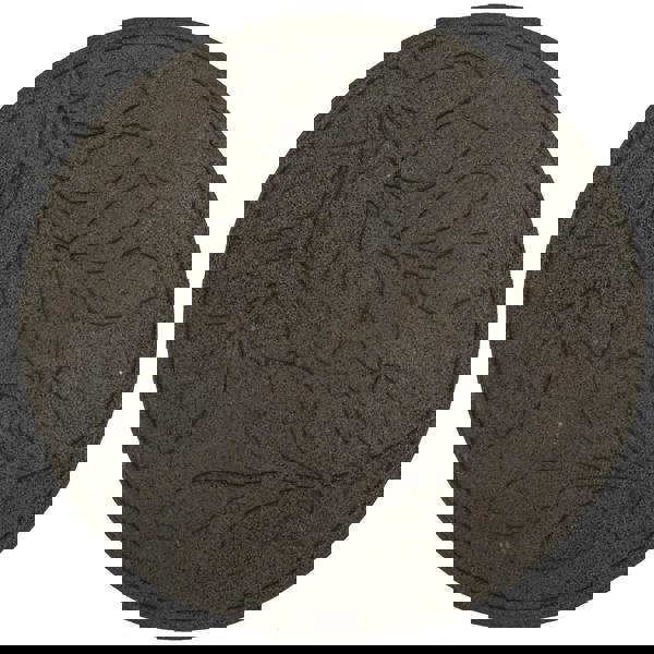 Nicoman Eco-Friendly Garden Stepping Stones - Leaf