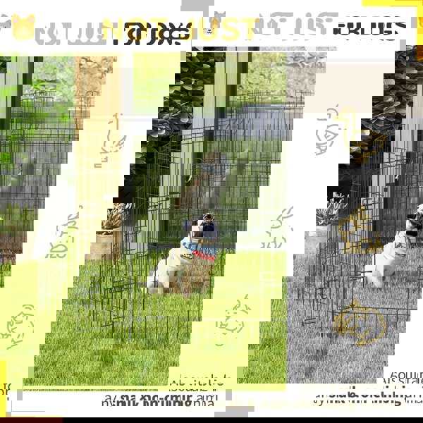 D06-020V01BK