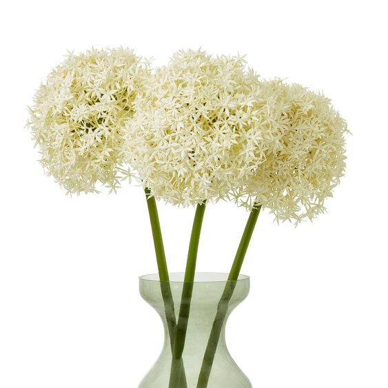 Wyld Haus Set of 3 Artificial Flowers Cream Giant Allium Stems