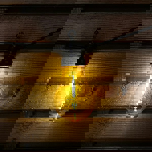 Samuel Alexander 4.5m Set of 10 Connectable Festoon Bulb Lights in Multi-Coloured with Timer Function