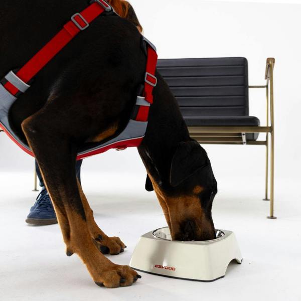 EzyDog Uno Dog Bowl