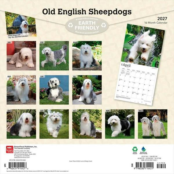 Old English Sheepdogs Calendar 2027, Wall Calendars, Month To View, Dogs, Gift