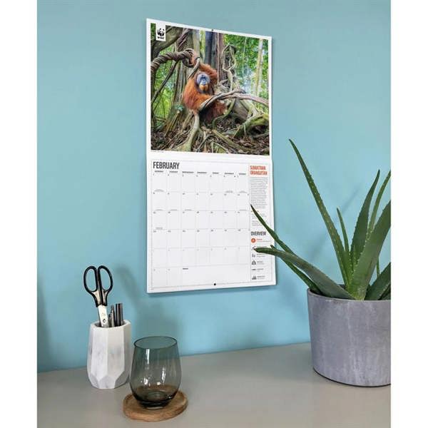 WWF, Amazing Wildlife Calendar 2027, Wall Calendars, Month To View, Animals, Gift