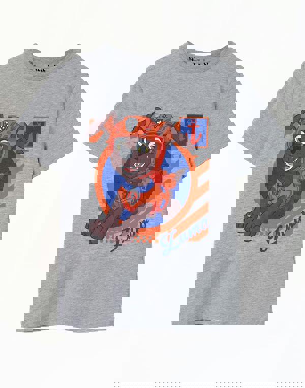 Paw Patrol Boys Grey Zuma Short Sleeved T-Shirt