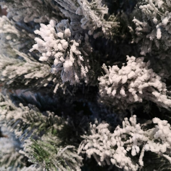 Samuel Alexander Kaemingk 6ft (180cm) Flocked Snowy Imperial Pine Hinged Christmas Trees