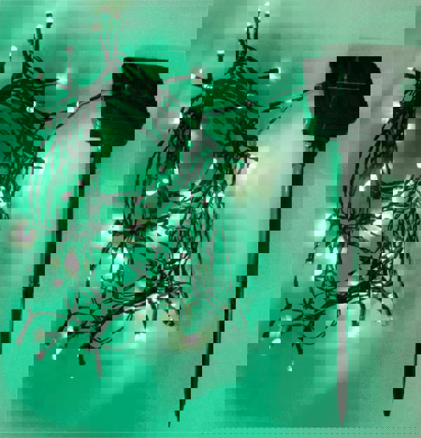 Eagle 200Led Solar String Light Grn