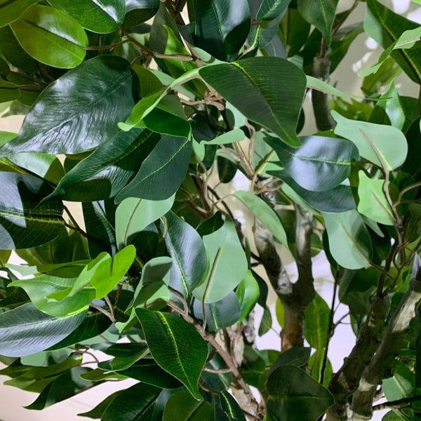 Leaf 100cm Leaf Realistic Artificial Ficus Tree / Plant Bush Ficus