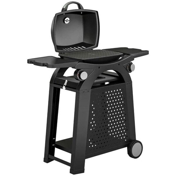 Bobobiy 2 Burner Gas Grill with 2 Side Tables, 3.8 KW Barbecue Grill with Cast Iron Grates, 2-in-1 Tabletop BBQ with Wheels