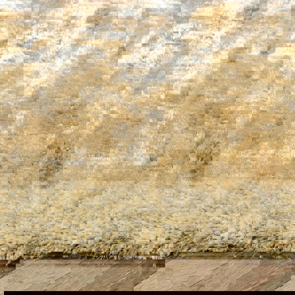 Origins Shimmer Shaggy Border Champagne