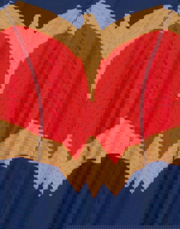 DC Comics Girls Blue Logo Sleeveless Skater Dress