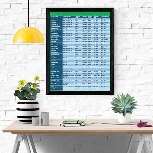 Automated flower planting calendar – eco-friendly gardening gift