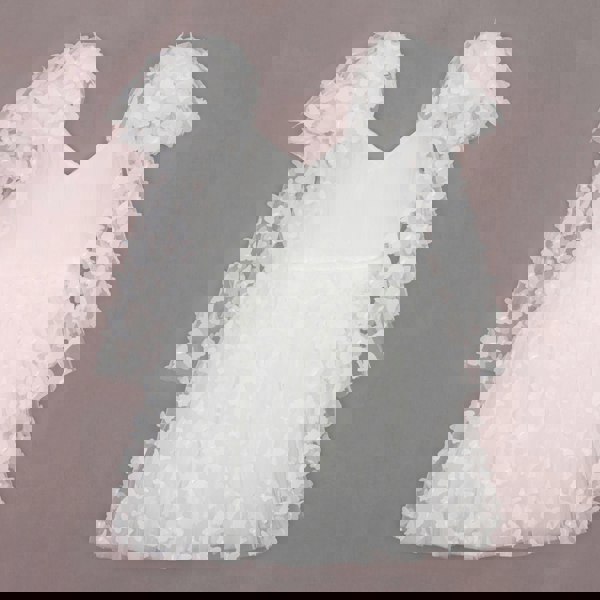 stunning butterfly dress