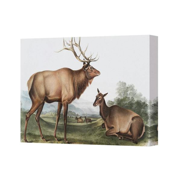 Benjamin Tate Design Canvas Art Elk And Deer In Field Landscape Wall Decor Print