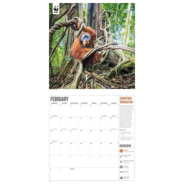 WWF, Amazing Wildlife Calendar 2027, Wall Calendars, Month To View, Animals, Gift
