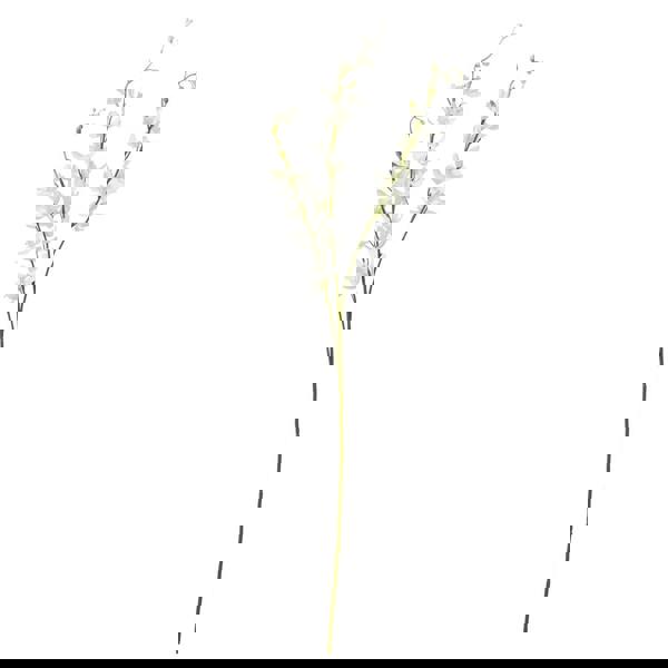 Hill Interiors Cymbidium Spray Artificial Flower - White - 