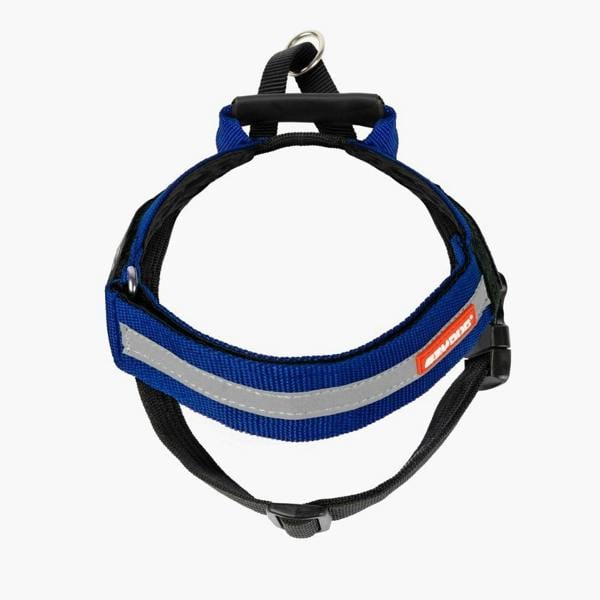 EzyDog Express Dog Harness in Blue