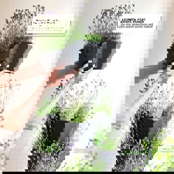 Nicoman Garden Central Multy Home 5-Tier Stackable Planter