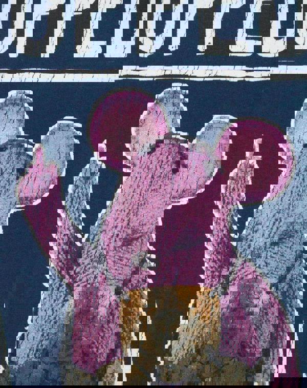 Clangers Womens Blue A Major Clanger Short Sleeved T-Shirt