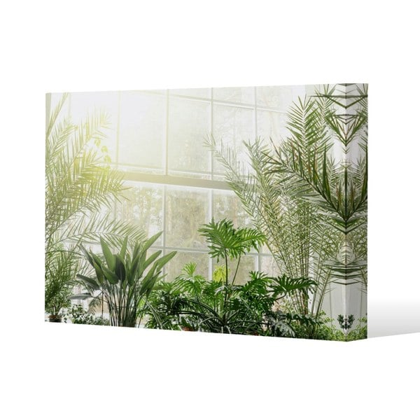 Benjamin Tate Design Green plants in botanical gardens Slim Style Canvas Print  90x120cm , 15mm Slim Real wood.