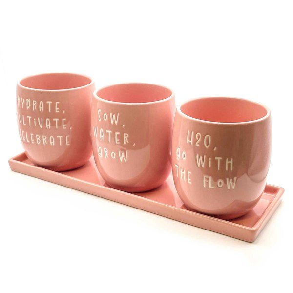 Scandi Home Set of 3 Pink Ceramic Slogan Planters