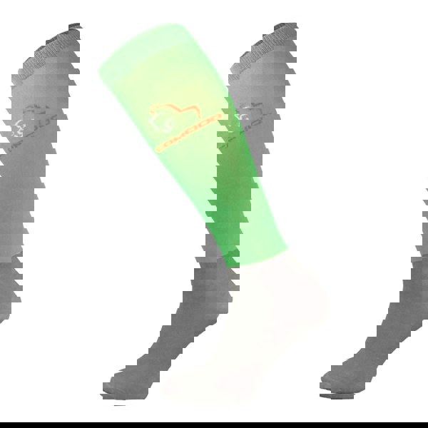 t4option1_5