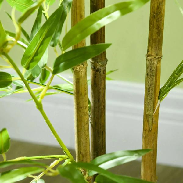 Close-up of green bamboo stalks emerging from a black pot
