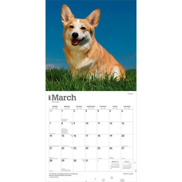 Welsh Corgis Calendar 2027, Wall Calendars, Month To View, Dogs, Gift