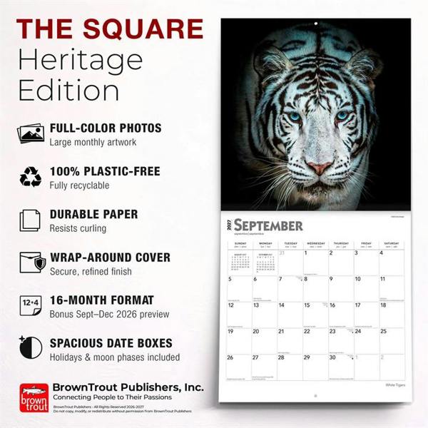 White Tigers Calendar 2027, Wall Calendars, Month To View, Animals, Gift