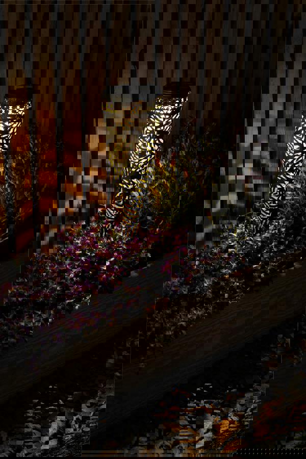 Luxform Solar Jersey Torch Light Leaf Design x 1