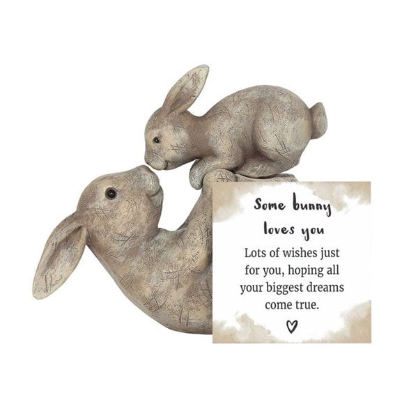 Serano Some Bunny Loves You Ornament