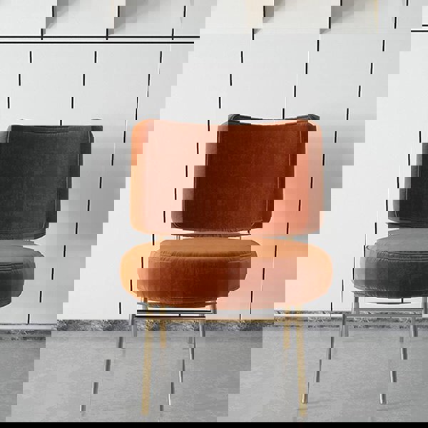 Aron Dining Chair, Velvet-Weilai Concept-Weilai Concept