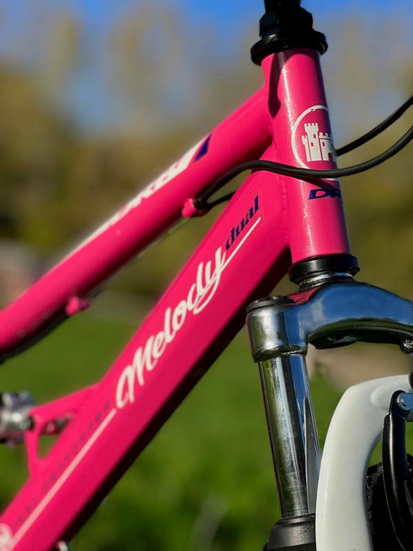 Dallingridge Melody 20" Girls Full Suspension Mountain Bike - Pink/Blue