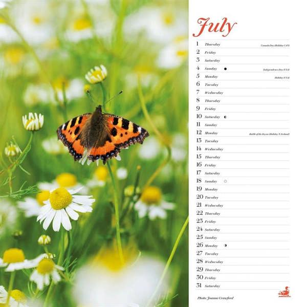 Country Living Calendar 2027, Wall Calendars, Month To View, Lifestyle, Gift