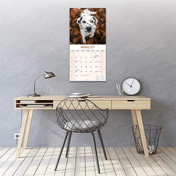 Dalmatian Calendar 2027, Wall Calendars, Month To View, Dogs, Gift