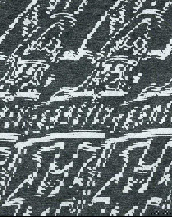 Hotel Transylvania Womens Grey Logo Short Sleeved T-Shirt