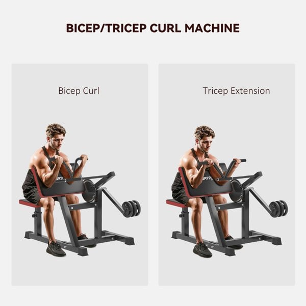 Preacher Curl Bench