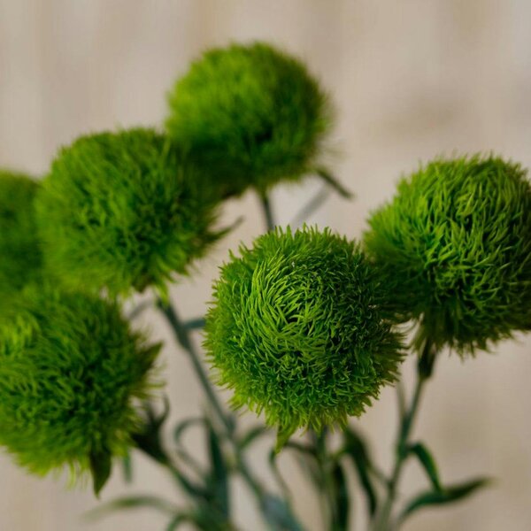 Wyld Haus Set of 3 Artificial Flowers Light Green Dianthus Stems
