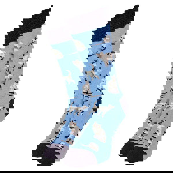 t4option1_3