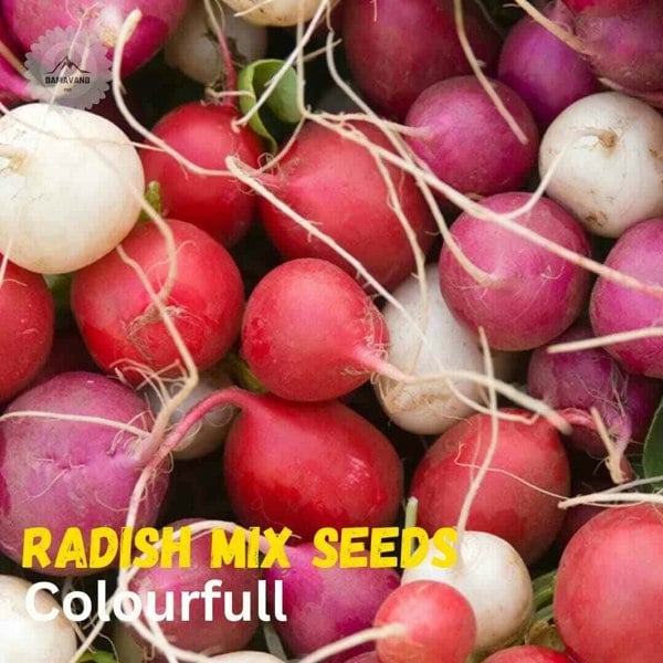 Radish Mix Seeds