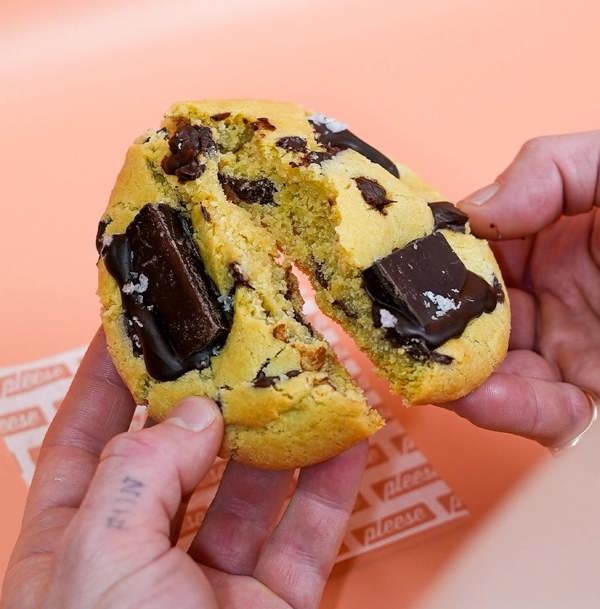 Pleese Dark Chocolate & Sea Salt Cookie
