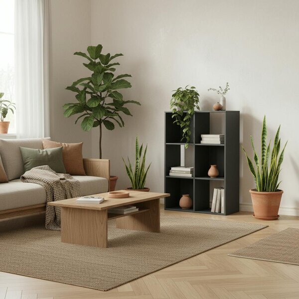 Wyld Haus Vasutte Wooden Black 6 Cube Storage Bookcase