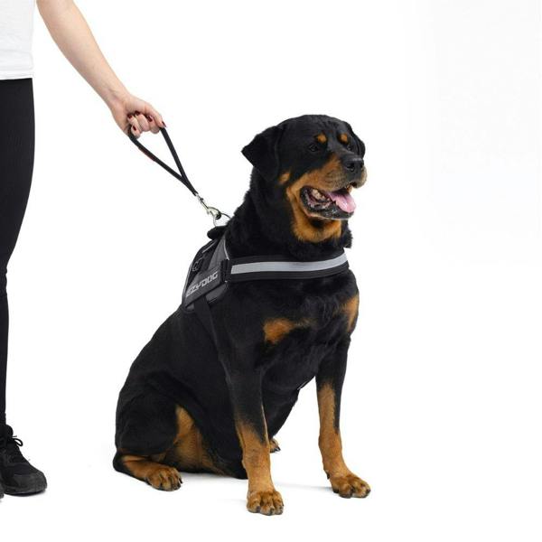 EzyDog Neo Mongrel Short Range Dog Lead