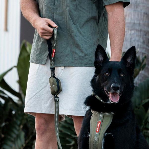 EzyDog Essential Poop Bag Holder in Green