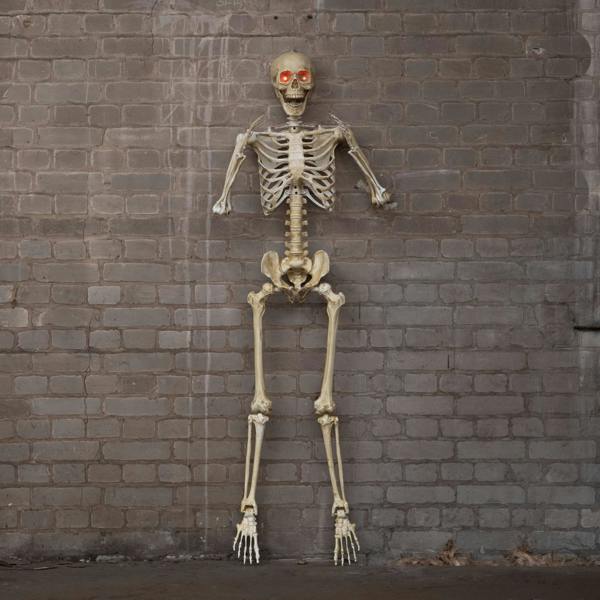 Samuel Alexander 5ft (1.5m) Battery Powered Light up Halloween Skeleton with Poseable Joints & Red LEDs