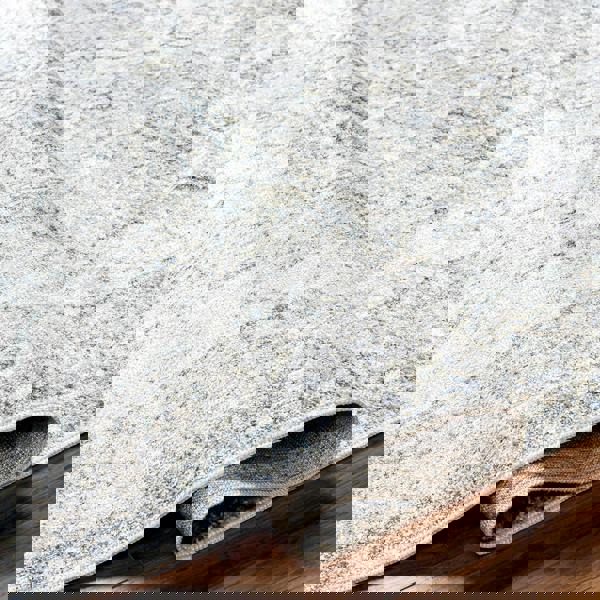 Livabliss Lillian-Washable Taupe Brown Traditional Vintage Boho Rug